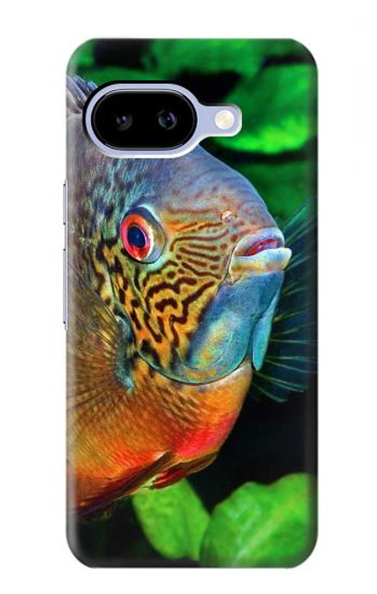 S1812 Cichlid Fish Case For Google Pixel 9a