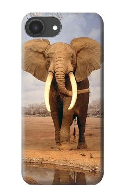 S0310 African Elephant Case For iPhone 16e