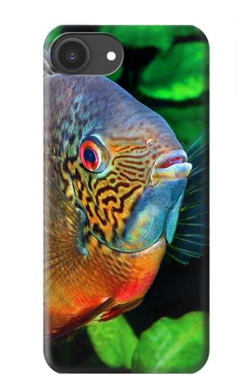 S1812 Cichlid Fish Case For iPhone 16e, 17e