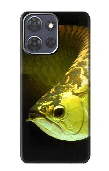 S1021 Gold Arowana Fish Case For Motorola Moto G Power (2025,2026)