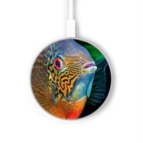 S1812 Cichlid Fish Wireless Charger Pad 15W Type-C iPhone Android LED Light Charging Station
