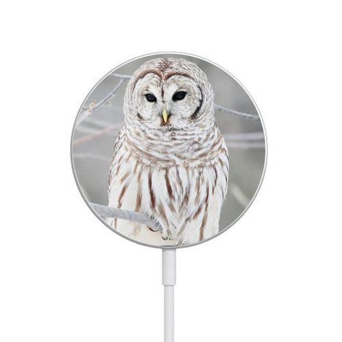 S1566 Snowy Owl White Owl Magnetic Wireless Charger Pad with MagSafe 15W for iPhone 16 15 14 13 12
