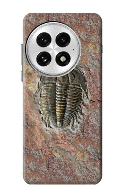 S1454 Trilobite Fossil Case For OnePlus 13