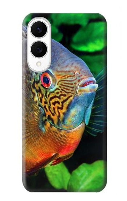S1812 Cichlid Fish Case For Samsung Galaxy S25 Edge S1812 Cichlid Fish Case For Samsung Galaxy S25 Edge
