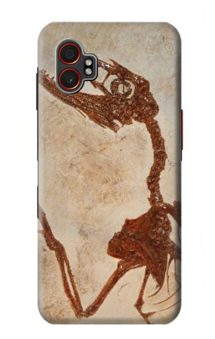 S0379 Dinosaur Fossil Case For Samsung Galaxy XCover7 Pro