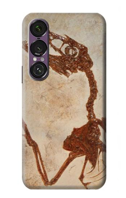S0379 Dinosaur Fossil Case For Sony Xperia 1 VII