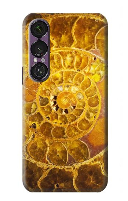 S1789 Ammonite Fossils Case For Sony Xperia 1 VII