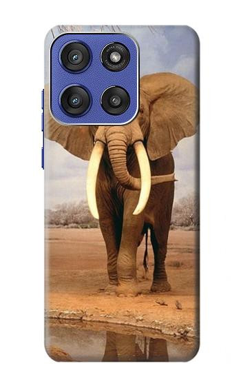 S0310 African Elephant Case For Motorola Moto G Stylus 5G (2025,2026), Edge 60 Stylus