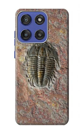 S1454 Trilobite Fossil Case For Motorola Moto G Stylus 5G (2025,2026), Edge 60 Stylus