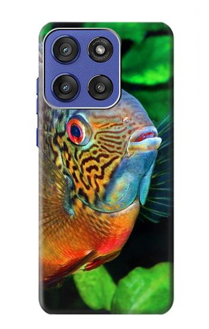 S1812 Cichlid Fish Case For Motorola Moto G Stylus 5G (2025), Edge 60 Stylus
