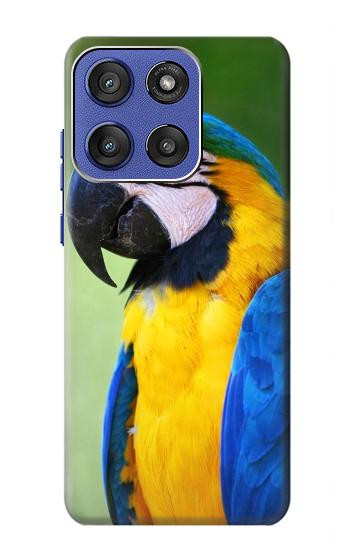 S3888 Macaw Face Bird Case For Motorola Moto G Stylus 5G (2025,2026), Edge 60 Stylus