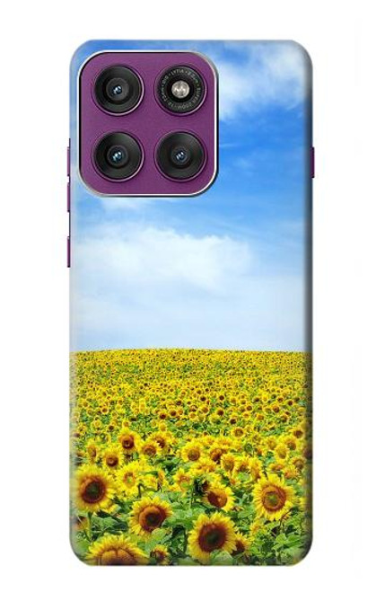 S0232 Sunflower Case For Motorola Edge 60 Pro