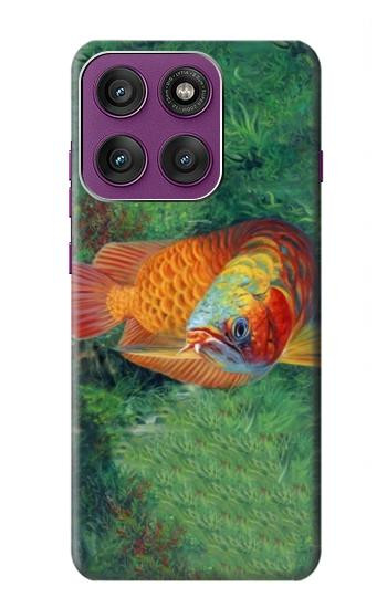 S1157 Red Arowana Fish Case For Motorola Edge 60 Pro