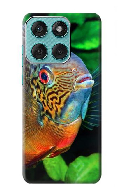 S1812 Cichlid Fish Case For Motorola Edge 60 Fusion