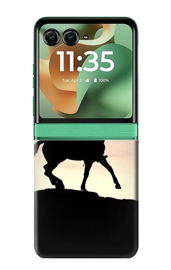 S0773 Cowboy Case For Motorola Razr 70+,60+, Razr+ (2026, 2025, 2024)