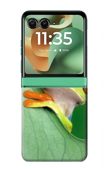 S1047 Little Frog Case For Motorola Razr 70+,60+, Razr+ (2026, 2025, 2024)
