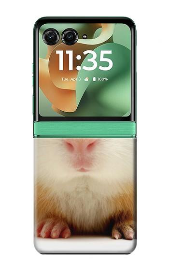 S1619 Cute Guinea Pig Case For Motorola Razr 70+,60+, Razr+ (2026, 2025, 2024)