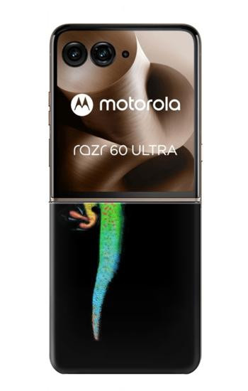 S0125 Green Madagascan Gecko Case For Motorola Razr 70 Ultra, 60 Ultra, 50 Ultra, Ultra 2026, Ultra 2025