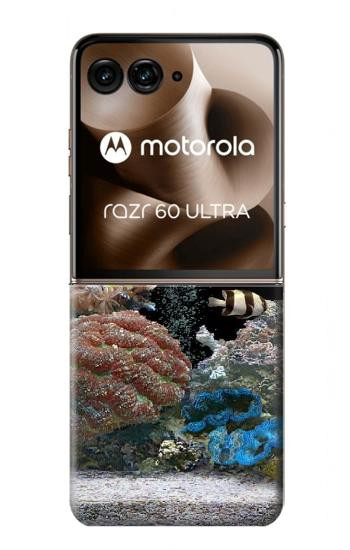 S0226 Aquarium Case For Motorola Razr 70 Ultra, 60 Ultra, 50 Ultra, Ultra 2026, Ultra 2025