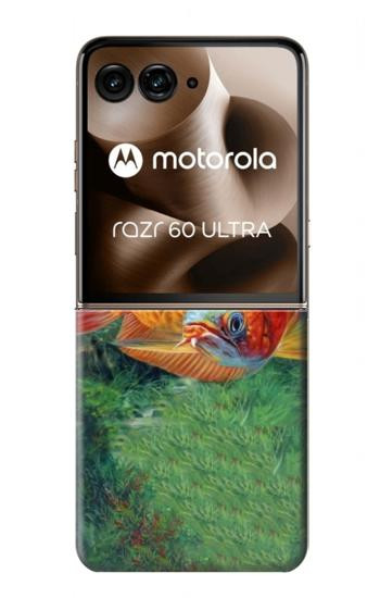 S1157 Red Arowana Fish Case For Motorola Razr 70 Ultra, 60 Ultra, 50 Ultra, Ultra 2026, Ultra 2025