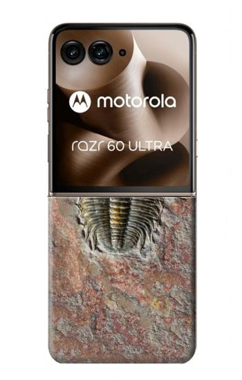 S1454 Trilobite Fossil Case For Motorola Razr 70 Ultra, 60 Ultra, 50 Ultra, Ultra 2026, Ultra 2025