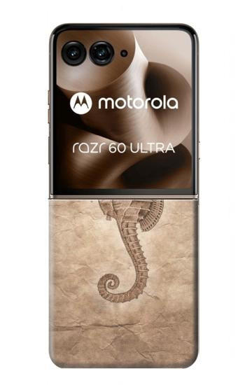 S3214 Seahorse Skeleton Fossil Case For Motorola Razr 70 Ultra, 60 Ultra, 50 Ultra, Ultra 2026, Ultra 2025