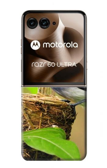 S3839 Bluebird of Happiness Blue Bird Case For Motorola Razr 70 Ultra, 60 Ultra, 50 Ultra, Ultra 2026, Ultra 2025