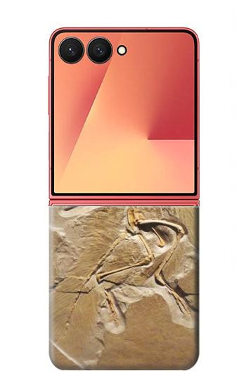 S0380 Dinosaur Fossil Case For Samsung Galaxy Z Flip 7