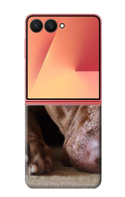 S0519 PitBull Face Case For Samsung Galaxy Z Flip 7
