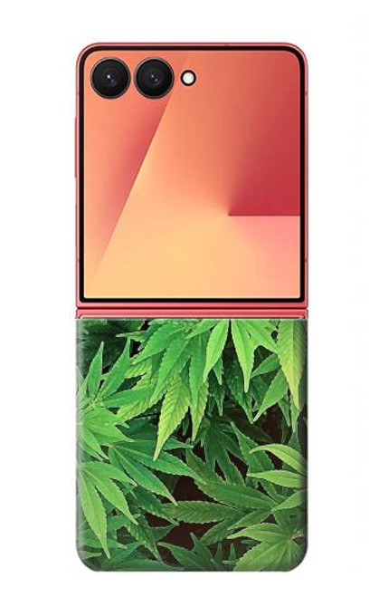 S1656 Marijuana Plant Case For Samsung Galaxy Z Flip 7
