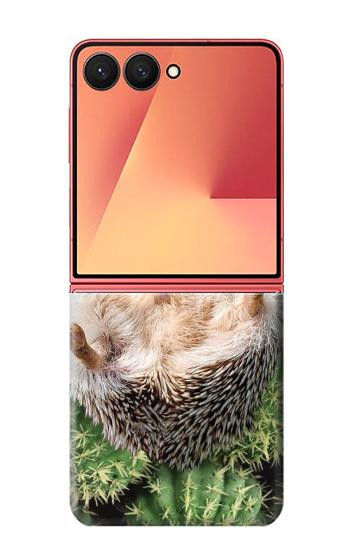 S3863 Pygmy Hedgehog Dwarf Hedgehog Paint Case For Samsung Galaxy Z Flip 7