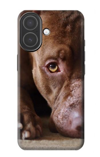 S0519 PitBull Face Case For iPhone 17