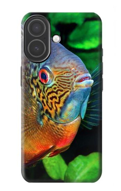 S1812 Cichlid Fish Case For iPhone 17