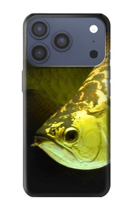 S1021 Gold Arowana Fish Case For iPhone 17 Pro