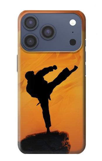 S3024 Kung Fu Karate Fighter Case For iPhone 17 Pro, 18 Pro