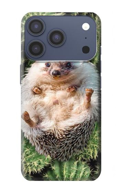 S3863 Pygmy Hedgehog Dwarf Hedgehog Paint Case For iPhone 17 Pro