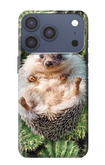 S3863 Pygmy Hedgehog Dwarf Hedgehog Paint Case For iPhone 17 Pro, 18 Pro