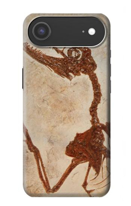 S0379 Dinosaur Fossil Case For iPhone Air