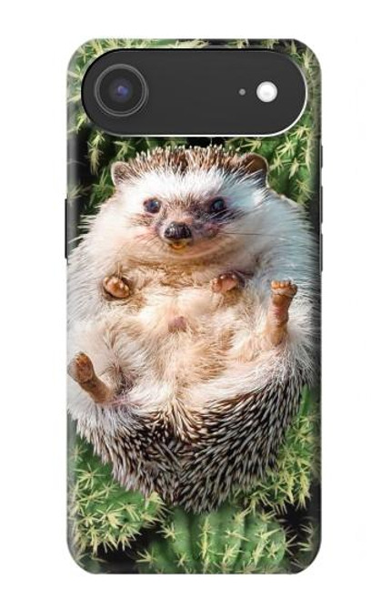 S3863 Pygmy Hedgehog Dwarf Hedgehog Paint Case For iPhone Air