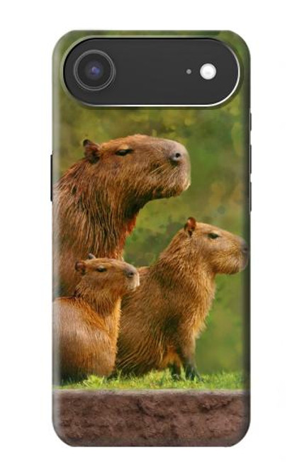 S3917 Capybara Family Giant Guinea Pig Case For iPhone Air