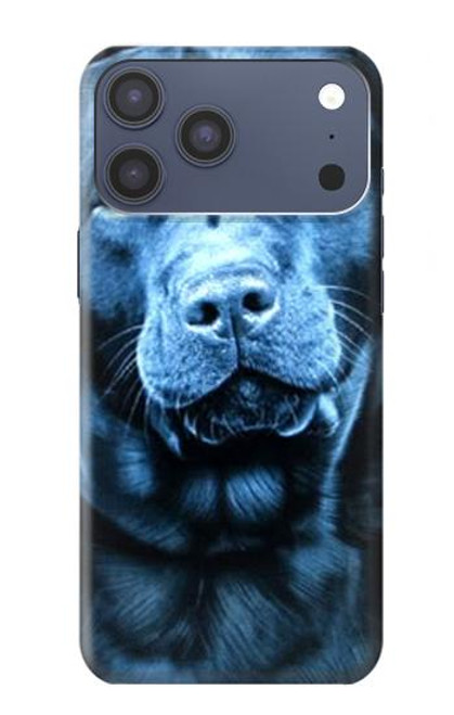 S0750 Labrador Retriever Case For iPhone 17 Pro Max