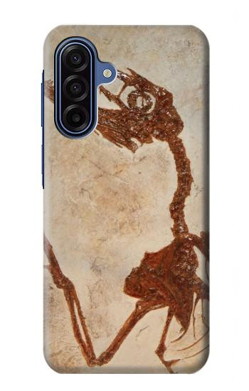 S0379 Dinosaur Fossil Case For Samsung Galaxy A17