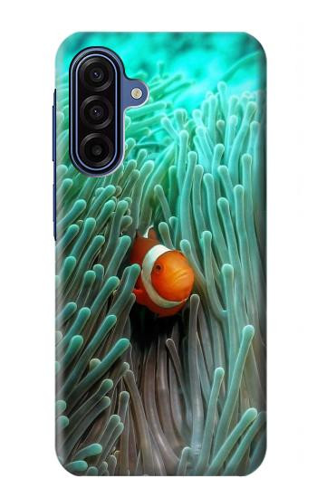 S3893 Ocellaris clownfish Case For Samsung Galaxy A17
