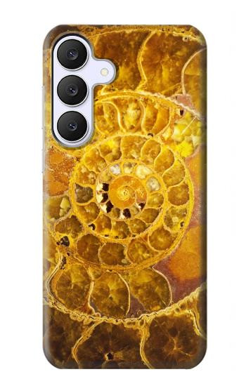 S1789 Ammonite Fossils Case For Samsung Galaxy S25 FE, S26 FE