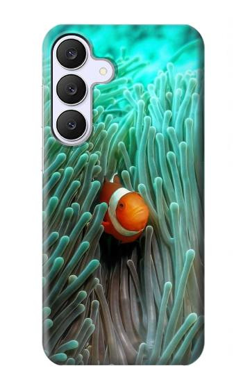 S3893 Ocellaris clownfish Case For Samsung Galaxy S25 FE
