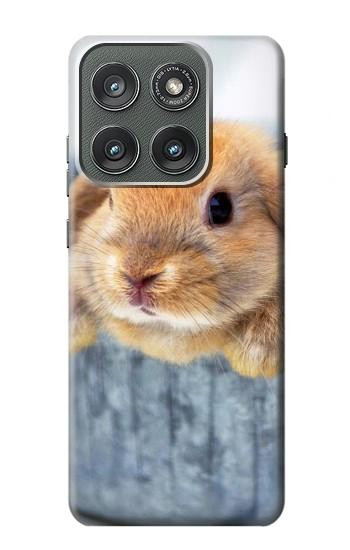 S0242 Cute Rabbit Case For Motorola Edge (2025)