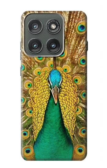 S0513 Peacock Case For Motorola Edge (2025)