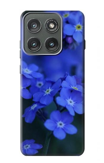 S0782 Forget me not Case For Motorola Edge (2025)