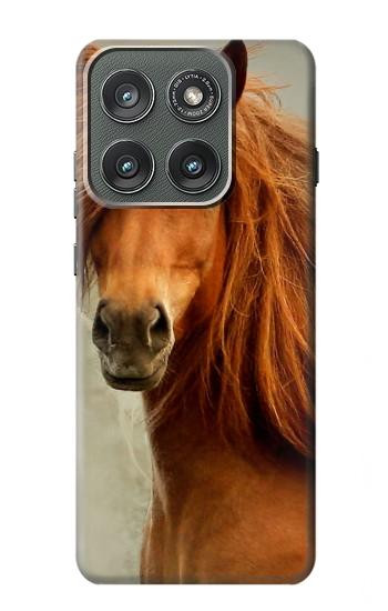 S1595 Beautiful Brown Horse Case For Motorola Edge (2025)