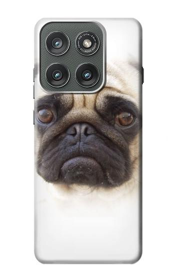 S1852 Pug Dog Case For Motorola Edge (2025)